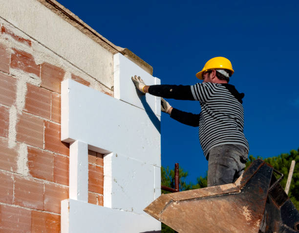 Best Commercial Insulation in Coal Valley, IL