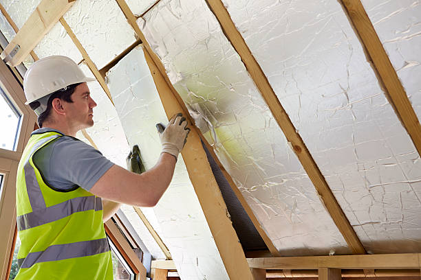 Best Residential Insulation in Coal Valley, IL